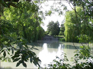 One of the small lakes on the Wellcome Trust Campus in Hinxton